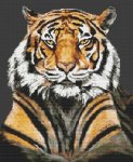 (image for) Spirit of the Jungle